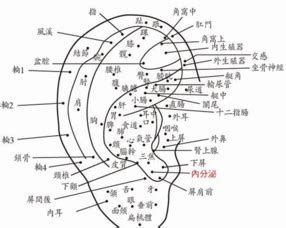 左耳垂有痣|耳朵长痣图解大全 左耳长痣代表什么